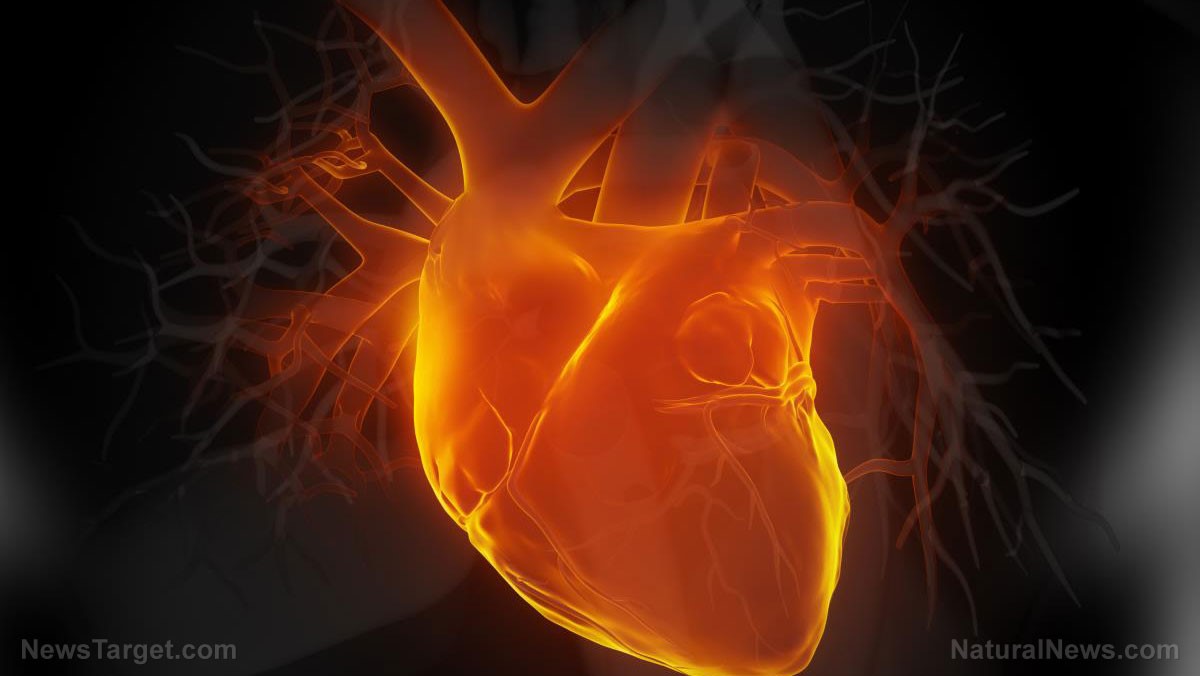 Heart-Damage.jpg