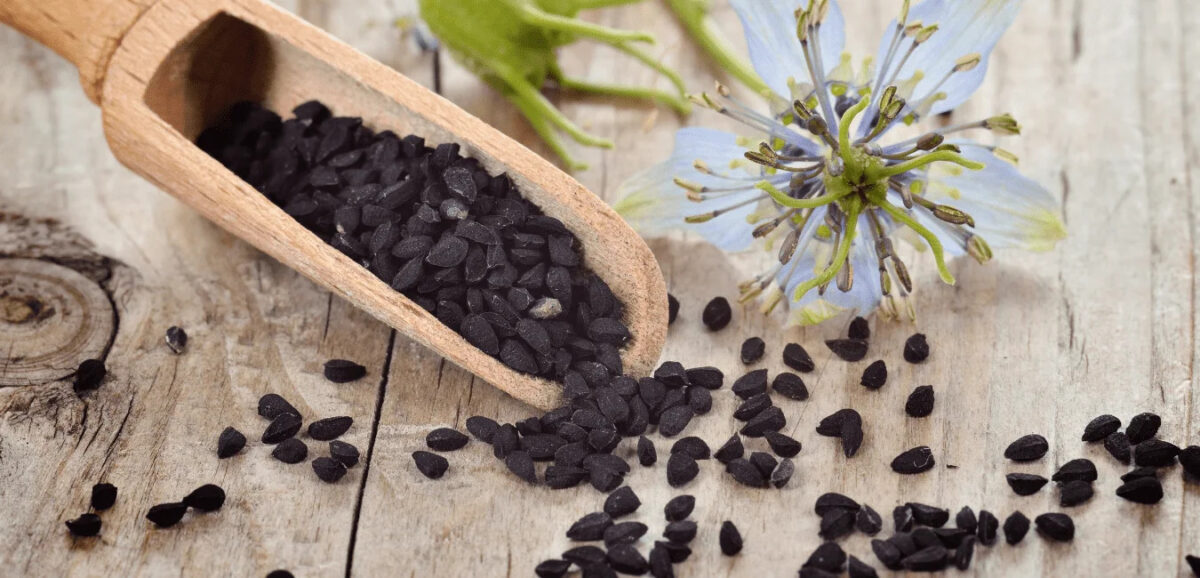 Dr-Nigella-Feature-Pic-1200x578.jpg