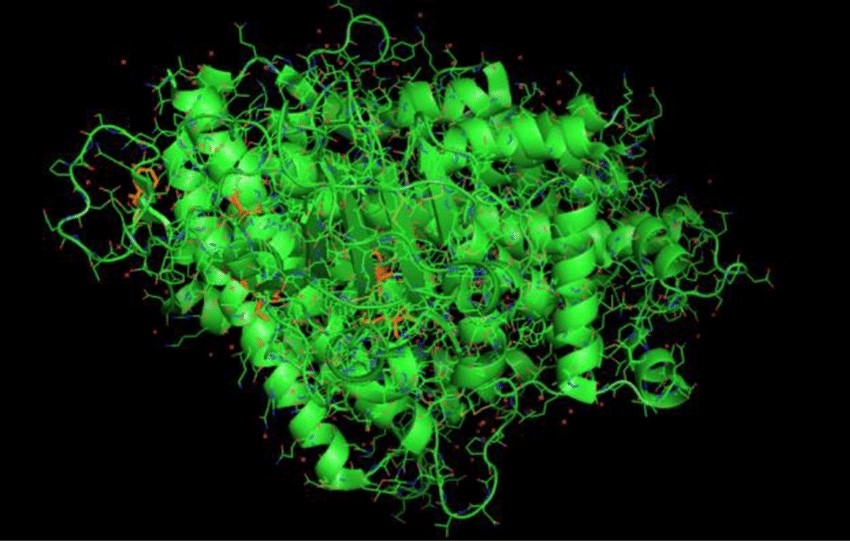 Spike-glycoprotein.jpg