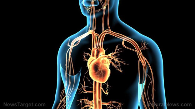 heart-desease.jpg